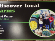 Discover Local Farms